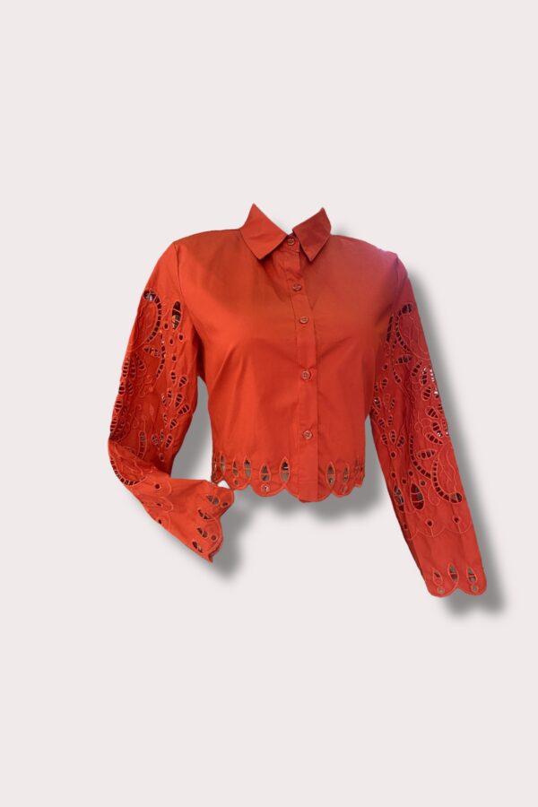 Photoroom_012_20250217_231558