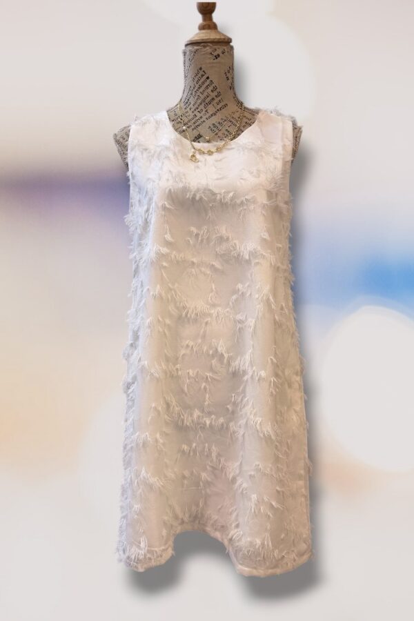 IMG_8266-Photoroom