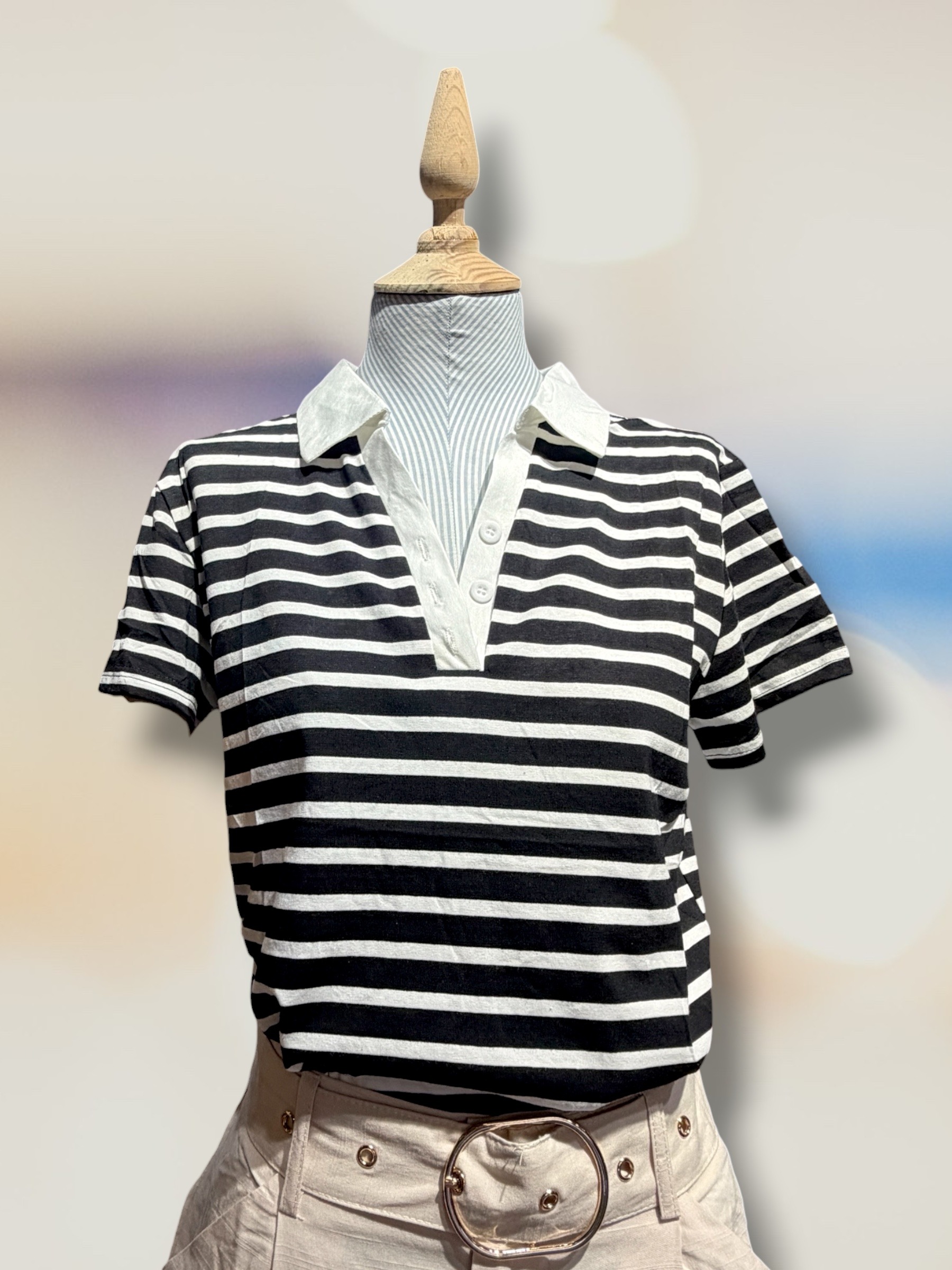 CAMISETA COTTON C. SPORT 961/950